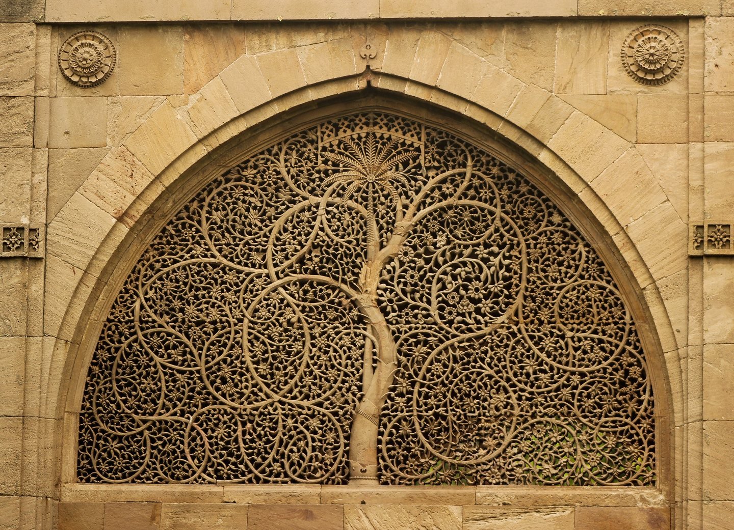 Carved tree-of-life stone lattice at Sidi Saiyyed Mosque, Ahmedabad